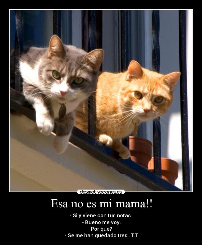 Esa no es mi mama!! - - Si y viene con tus notas..
- Bueno me voy.
Por que?
- Se me han quedado tres.. T.T
