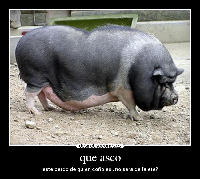 que asco - 