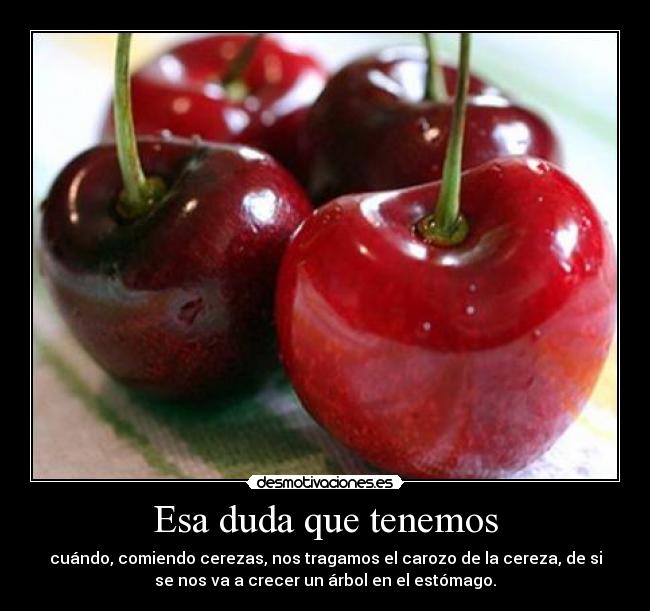 Esa duda que tenemos - cuándo, comiendo cerezas, nos tragamos el carozo de la cereza, de si
se nos va a crecer un árbol en el estómago.