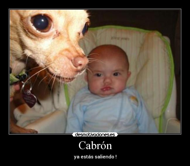 Cabrón - ya estás saliendo !