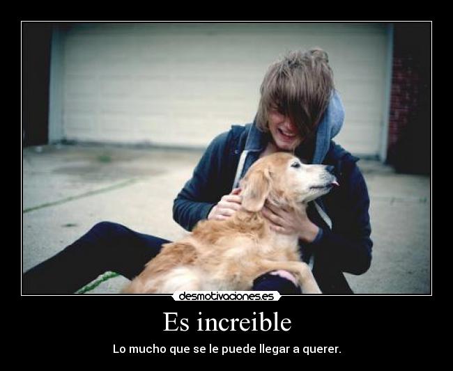 Es increible - Lo mucho que se le puede llegar a querer.