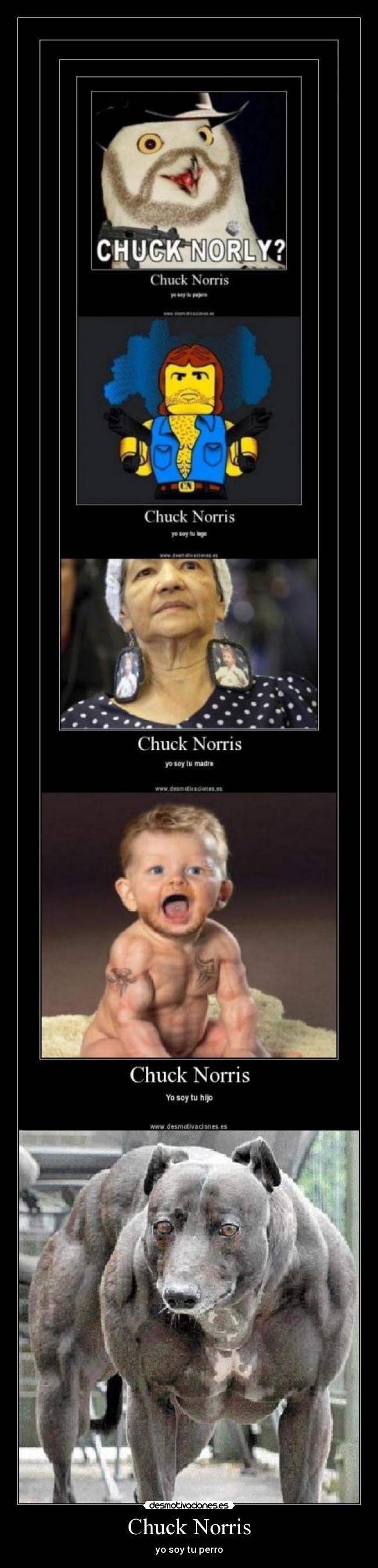 Chuck Norris - yo soy tu perro
