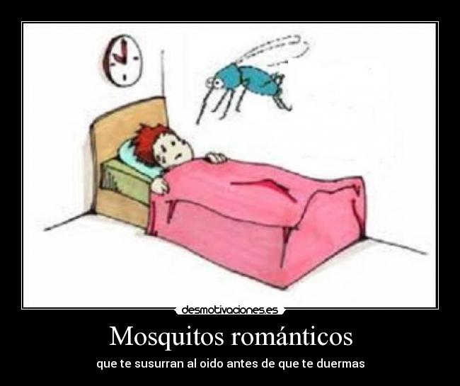 Mosquitos románticos - que te susurran al oido antes de que te duermas