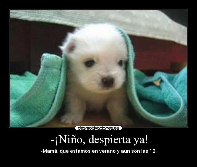 -¡Niño, despierta ya! - -Mamá, que estamos en verano y aun son las 12.