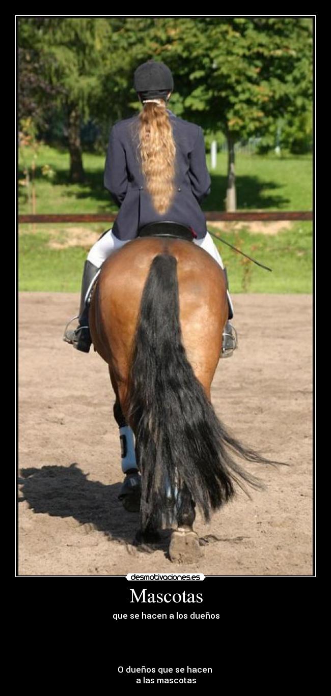 Mascotas - que se hacen a los dueños
O dueños que se hacen
a las mascotas