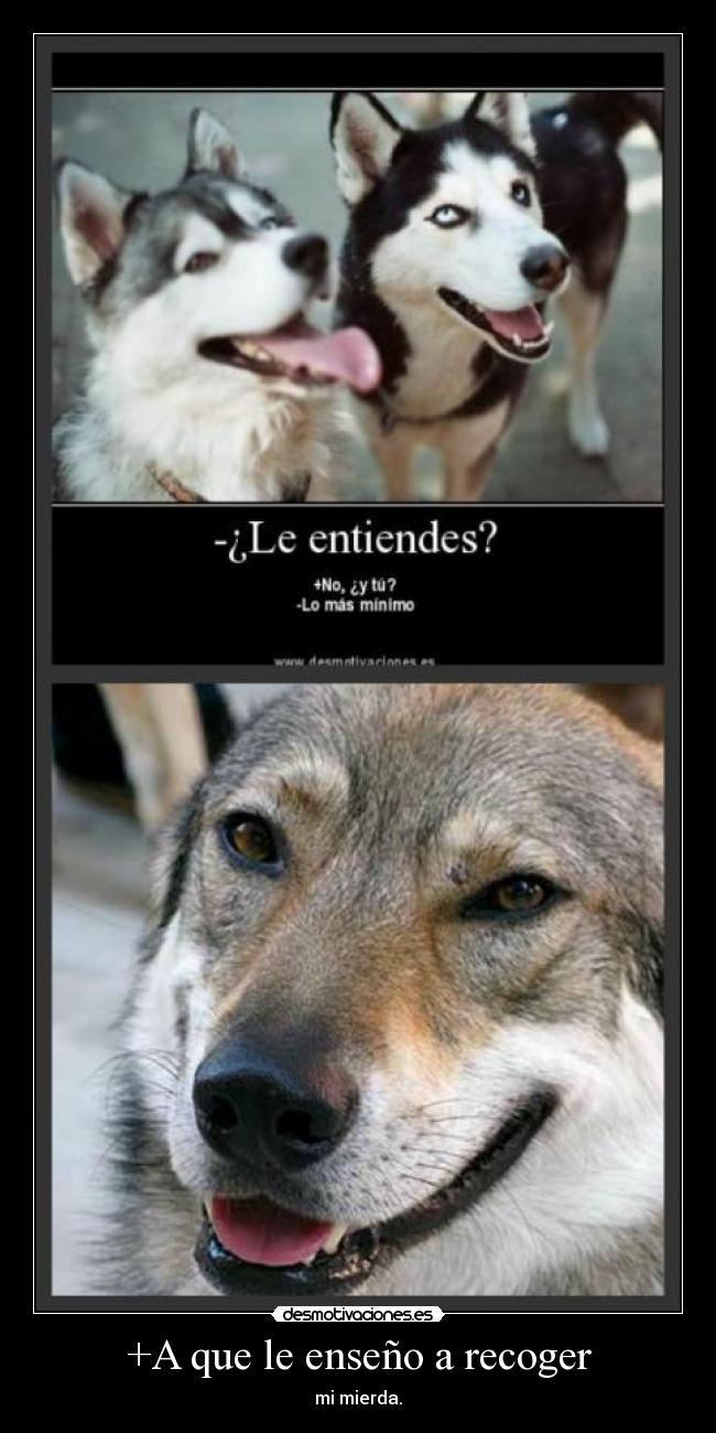 +A que le enseño a recoger -