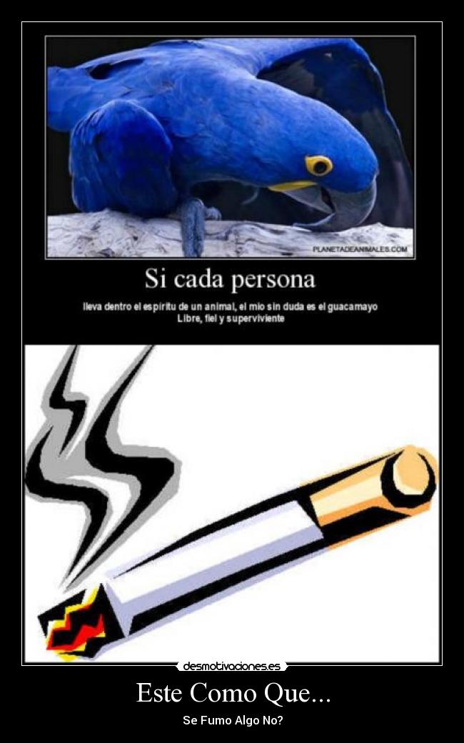 carteles rare desmotivaciones