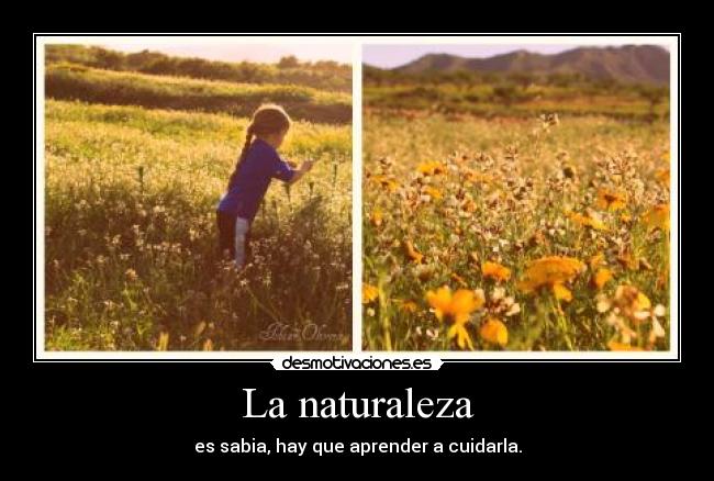 La naturaleza - 