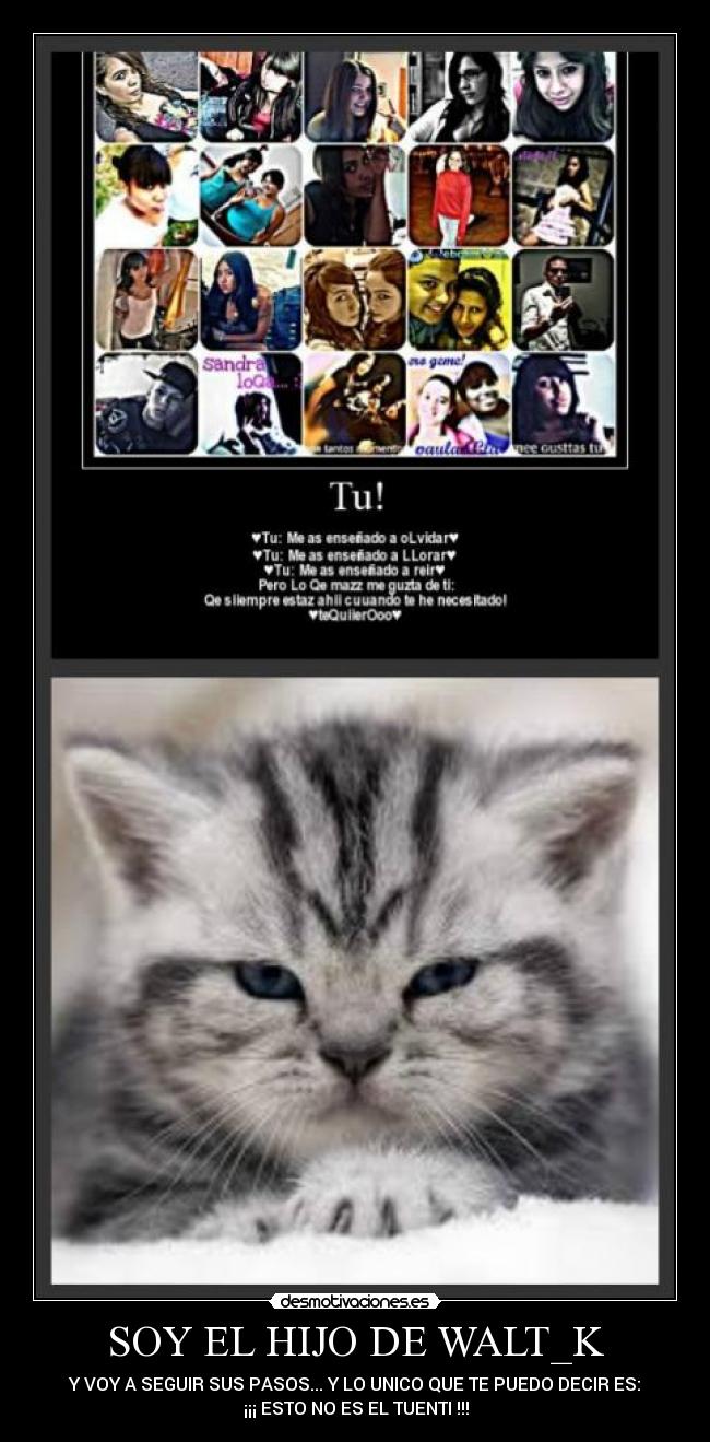 SOY EL HIJO DE WALT_K - 