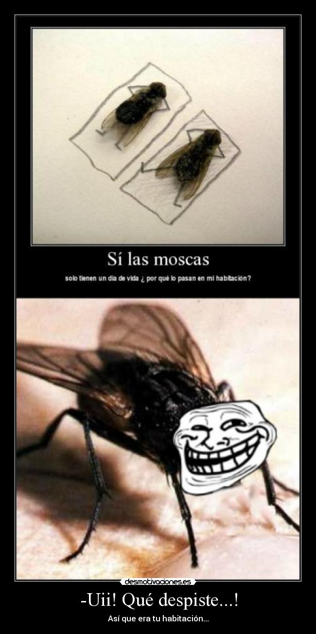 -Uii! Qué despiste...! -