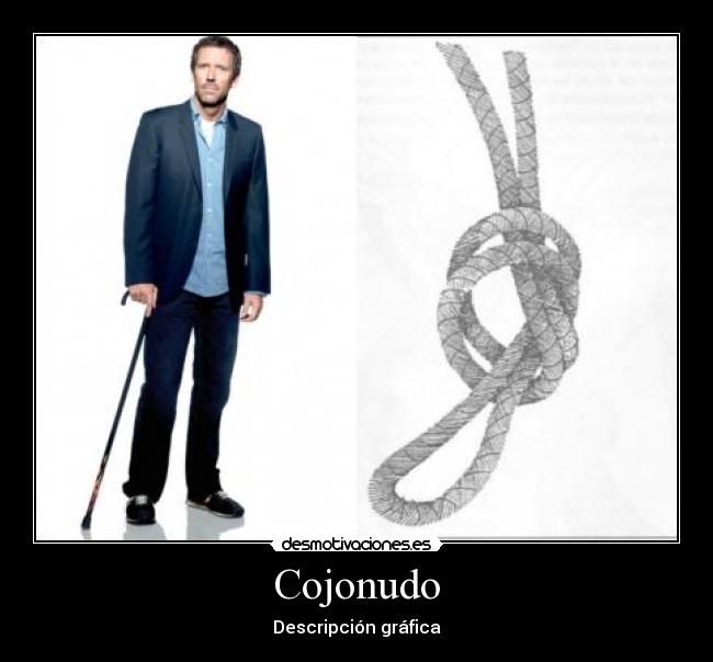 Cojonudo - Descripción gráfica