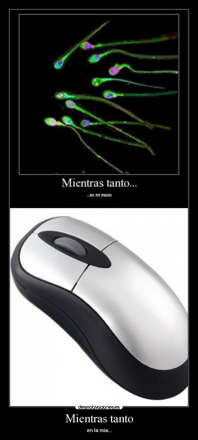 Mientras tanto - en la mia...