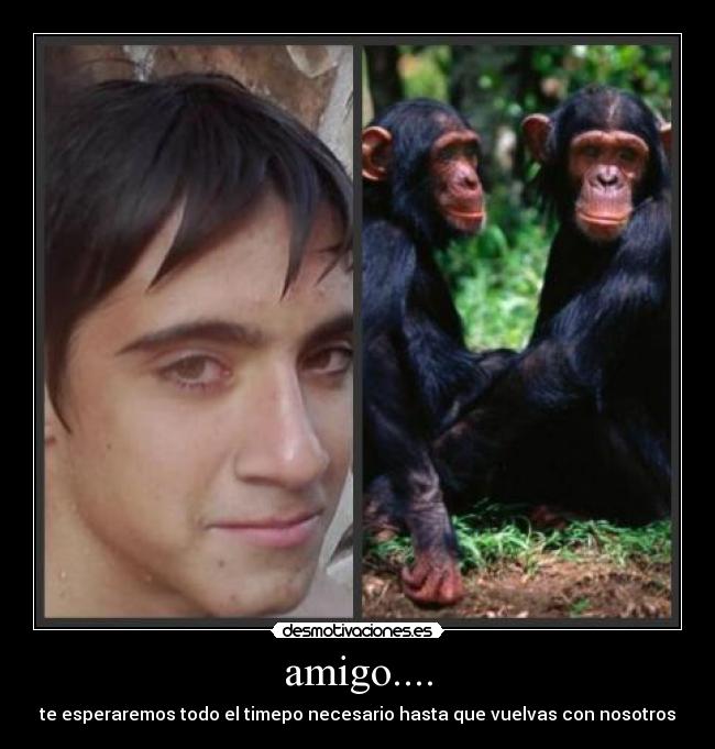 amigo.... - 