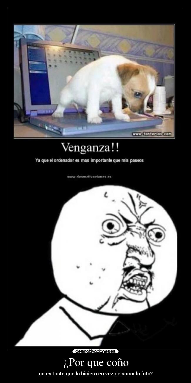 ¿Por que coño - no evitaste que lo hiciera en vez de sacar la foto?