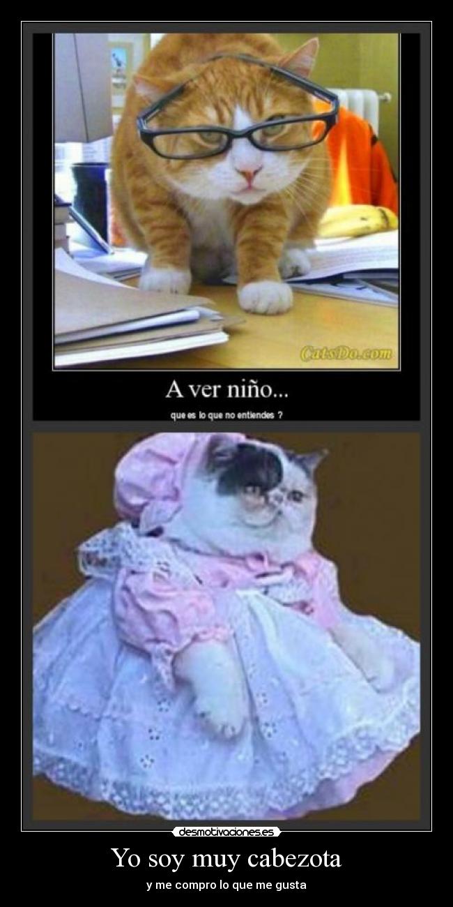 Yo soy muy cabezota -