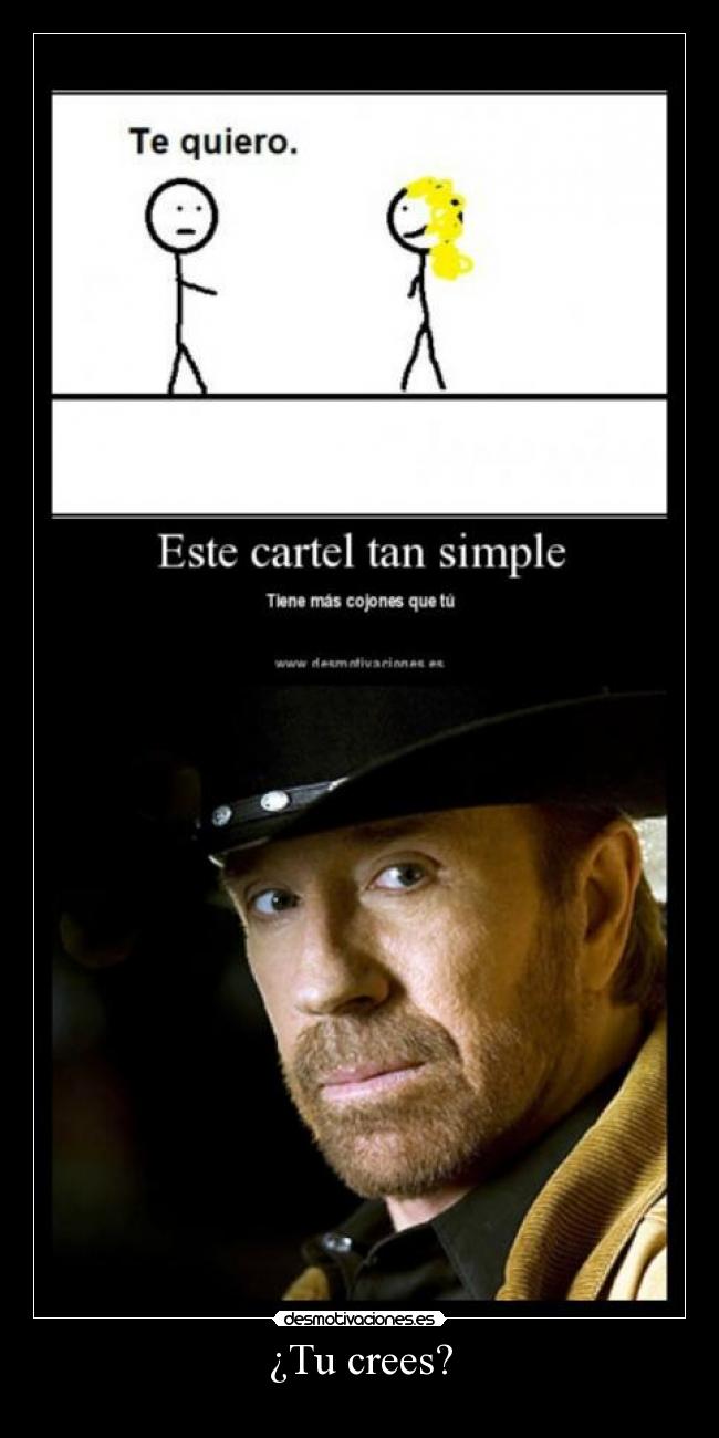 carteles chuck norris desmotivaciones