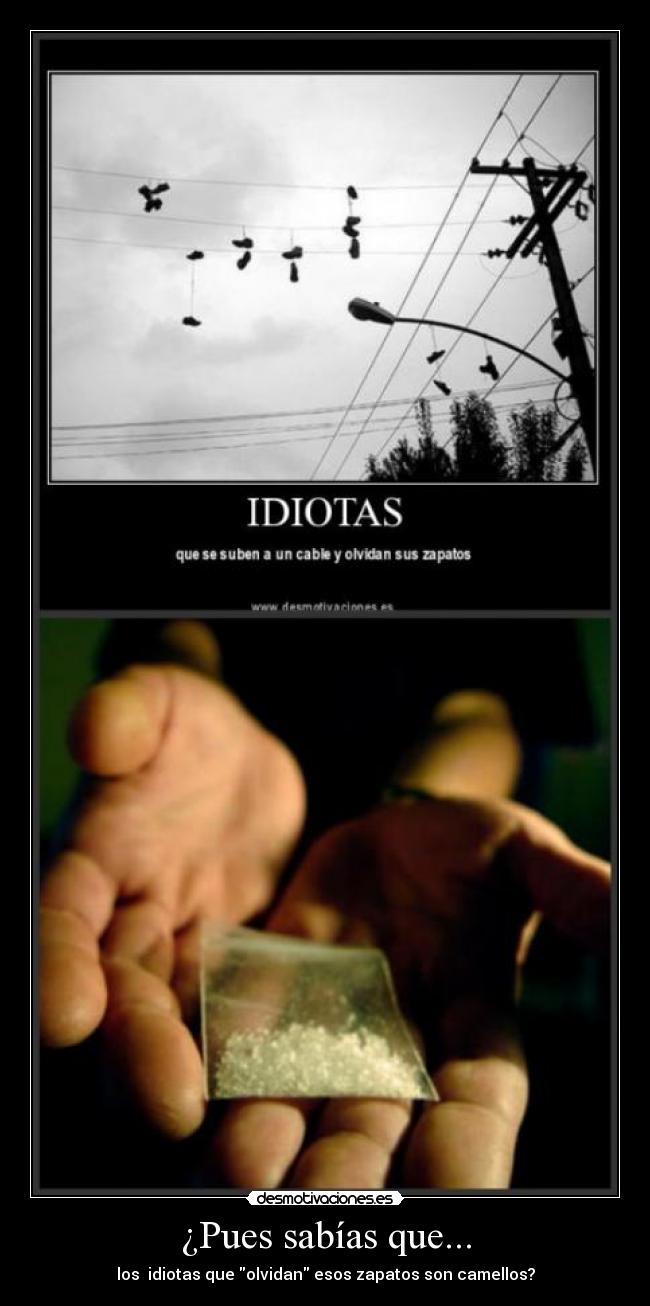 ¿Pues sabías que... -