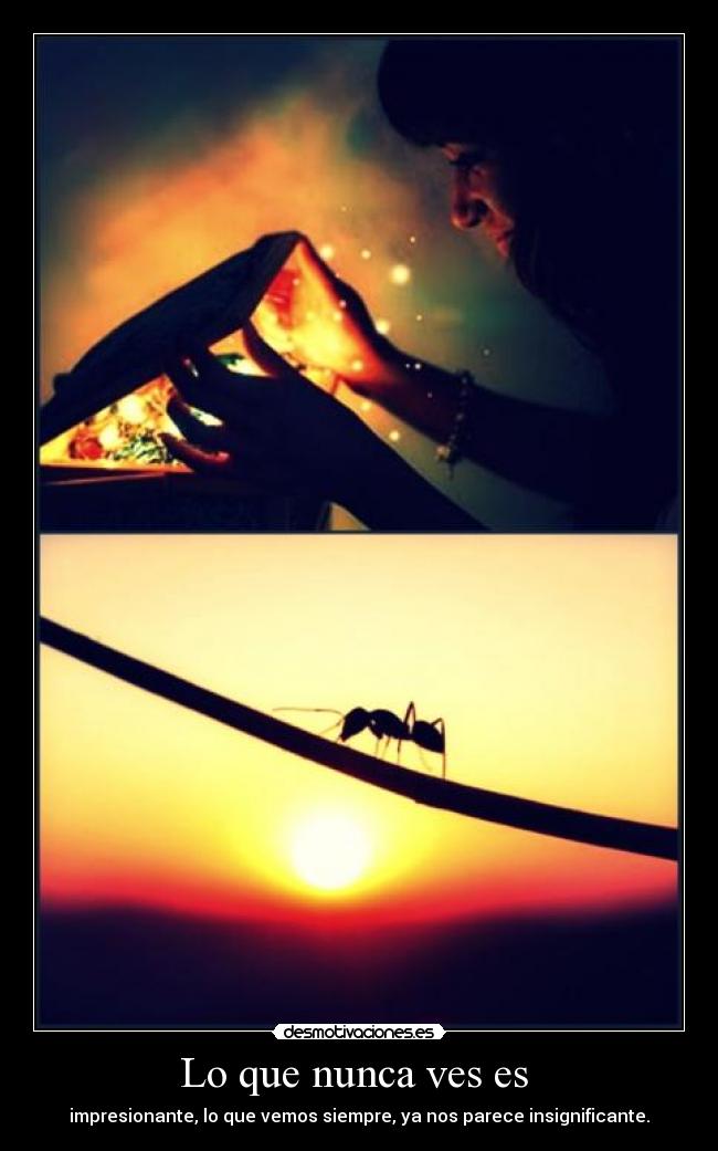 Lo que nunca ves es  - 