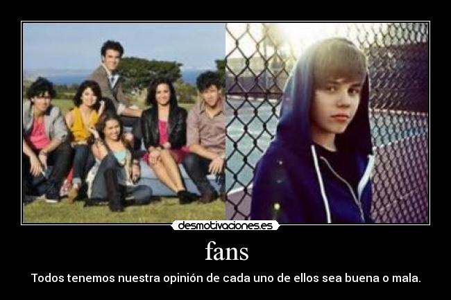 fans - 