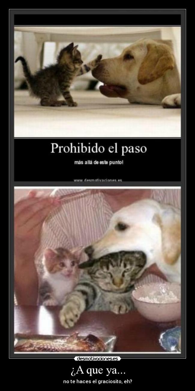 ¿A que ya... - no te haces el graciosito, eh?