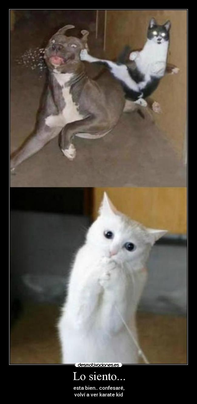 Lo siento... - esta bien.. confesaré,
volví a ver karate kid