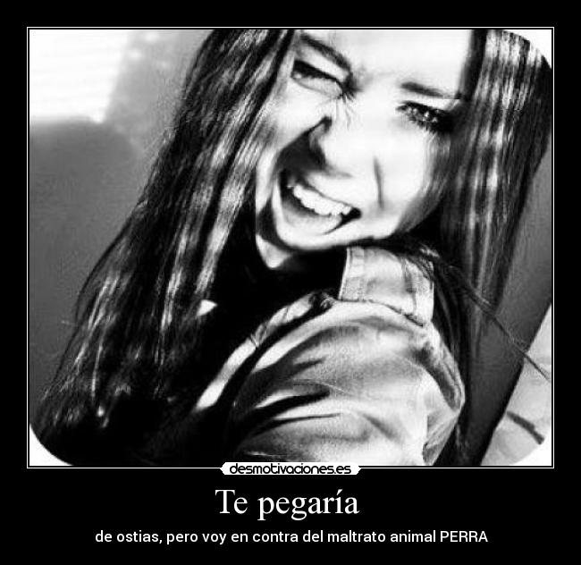 carteles meri21 desmotivaciones