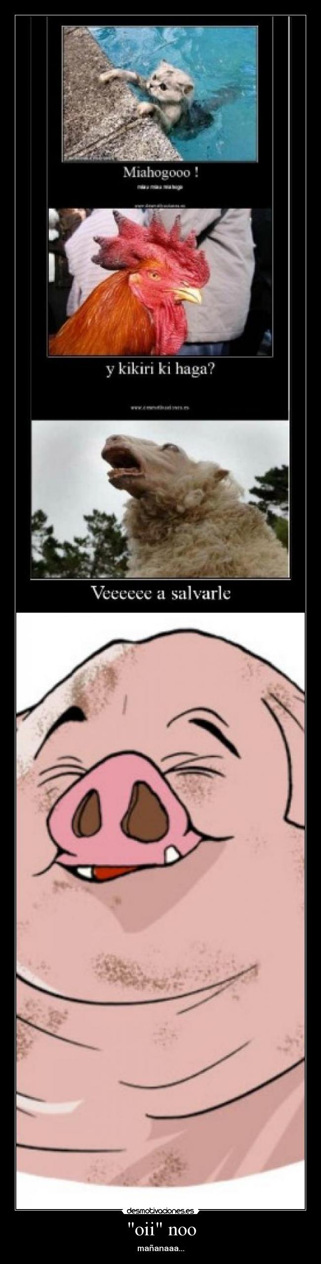 oii noo - mañanaaa...