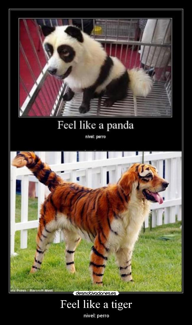 carteles noeliamh desmotivaciones