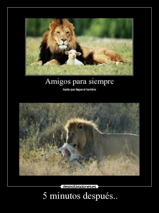5 minutos después.. -