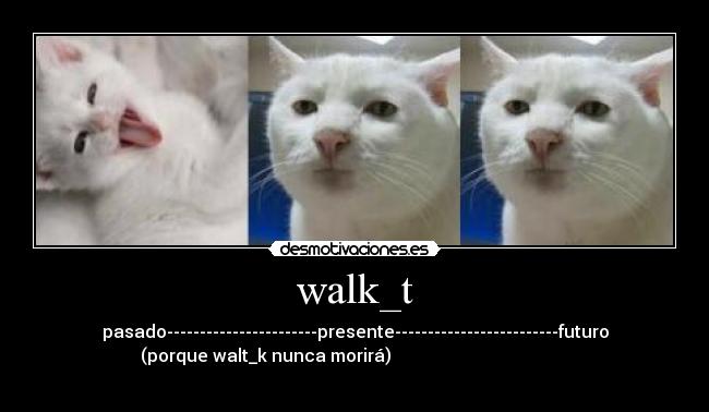 walk_t -