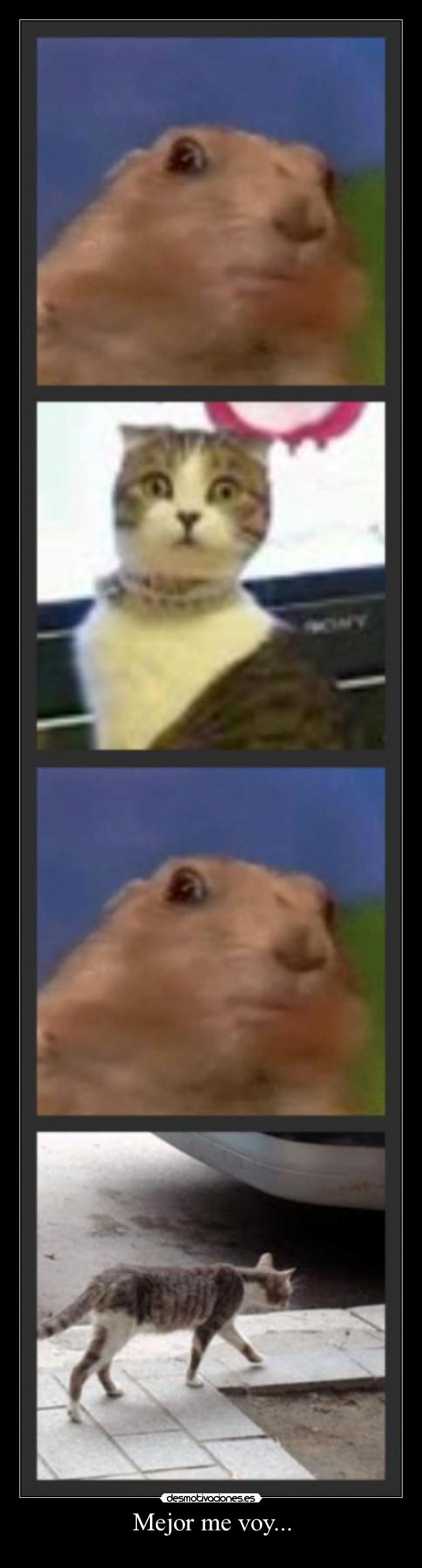 Mejor me voy... -
