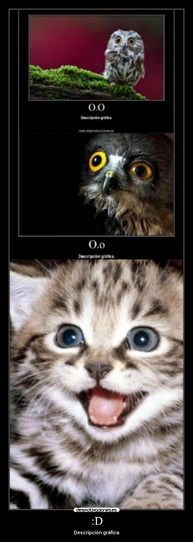 :D - Descripción gráfica