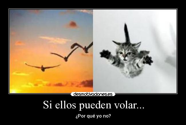 Si ellos pueden volar... -