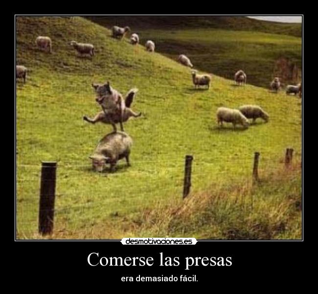 Comerse las presas - 