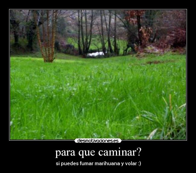 para que caminar? - 