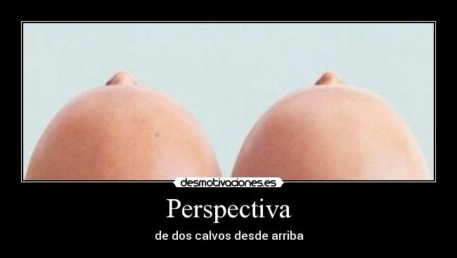 Perspectiva -