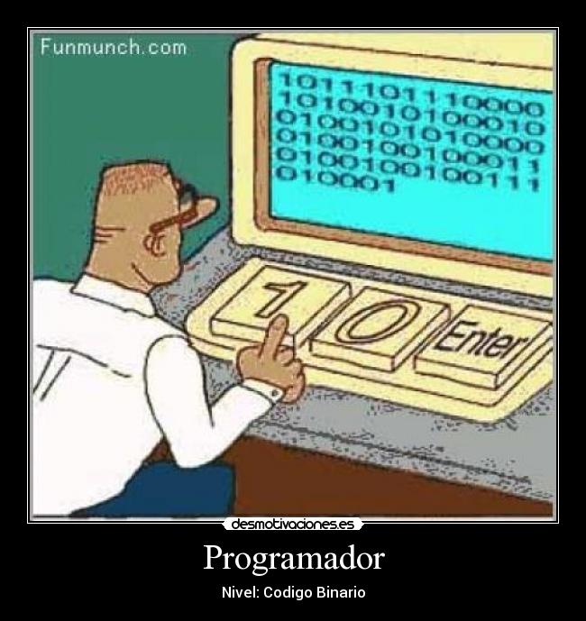 Programador - 