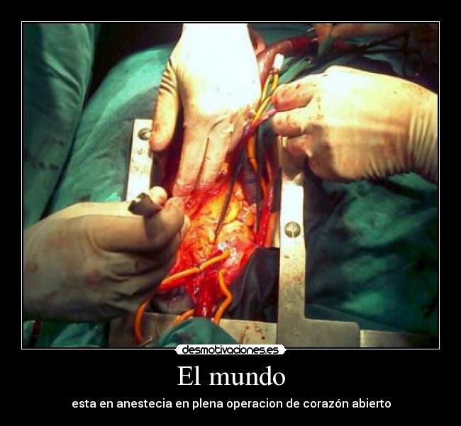 carteles mundo celticfairy22 desmotivaciones