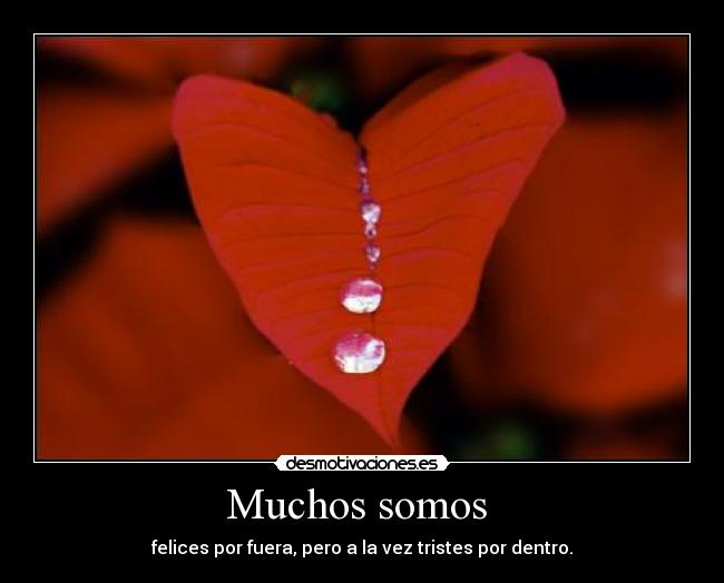 Muchos somos  - 