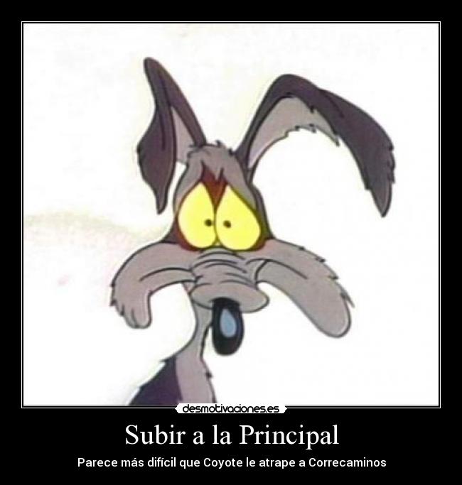 Subir a la Principal -
