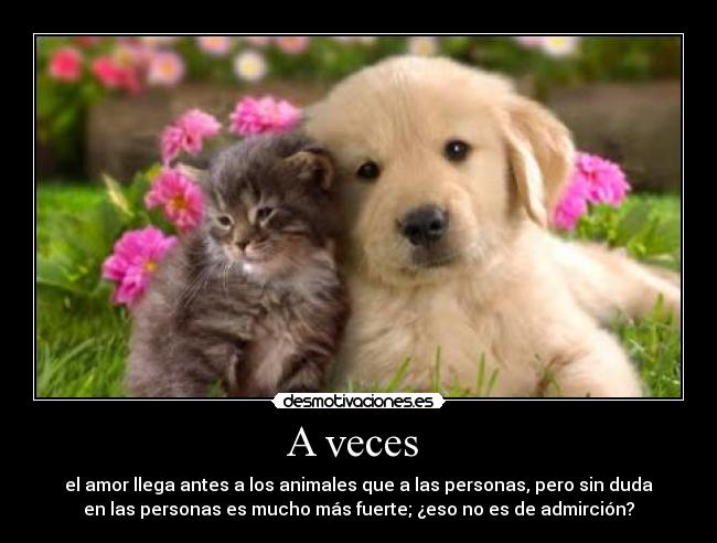 A veces - el amor llega antes a los animales que a las personas, pero sin duda
en las personas es mucho más fuerte; ¿eso no es de admirción?