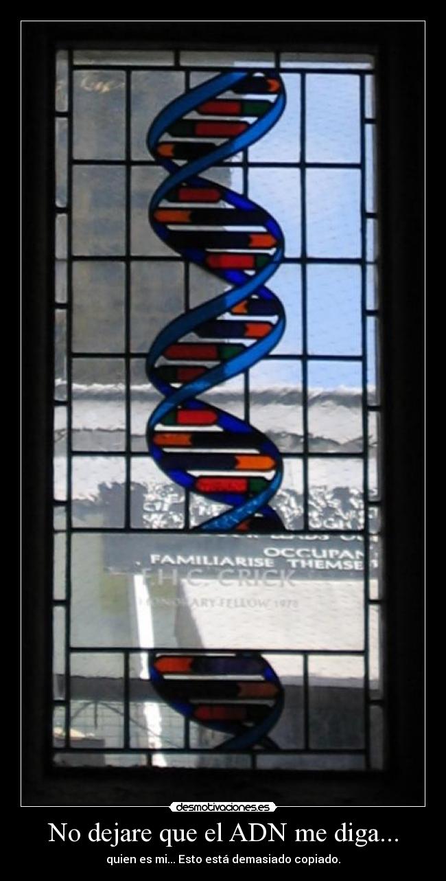 No dejare que el ADN me diga... - quien es mi... Esto está demasiado copiado.