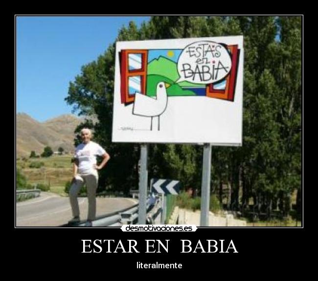 ESTAR EN BABIA -