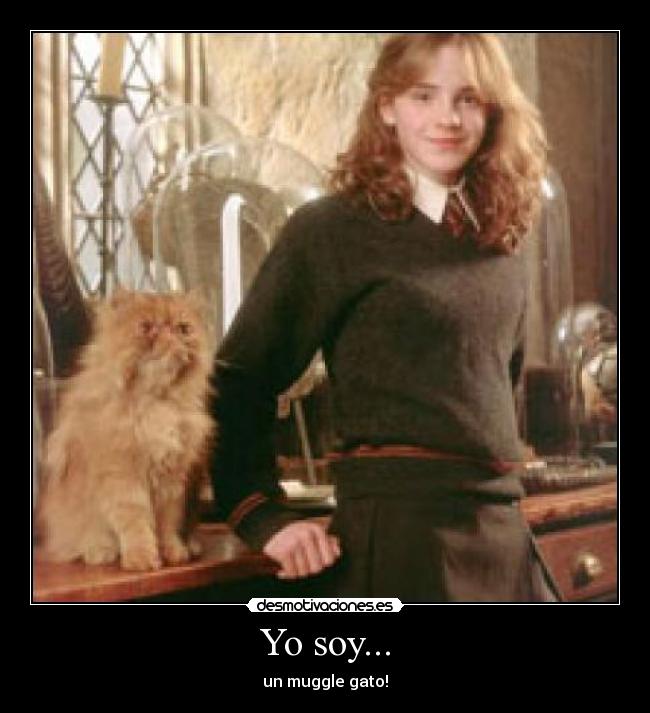 Yo soy... - un muggle gato!