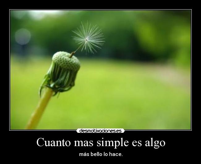 Cuanto mas simple es algo - más bello lo hace.