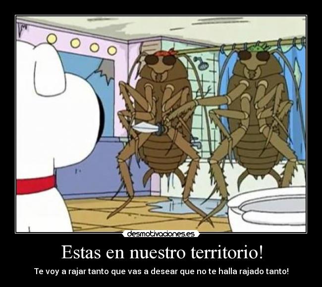 Estas en nuestro territorio! - Te voy a rajar tanto que vas a desear que no te halla rajado tanto!