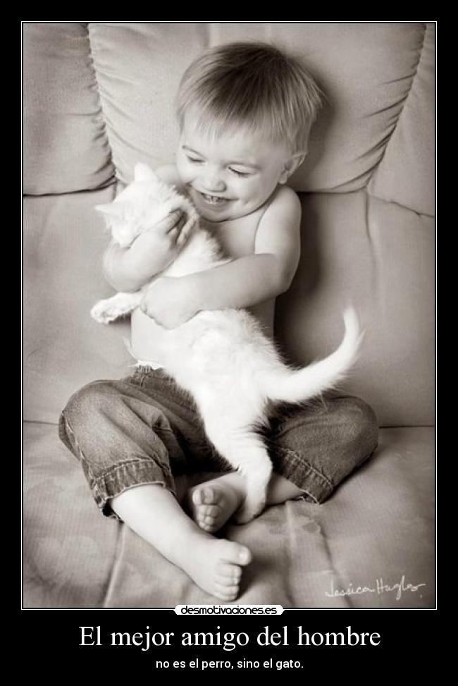 El mejor amigo del hombre - no es el perro, sino el gato.
