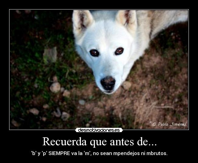 Recuerda que antes de... - 