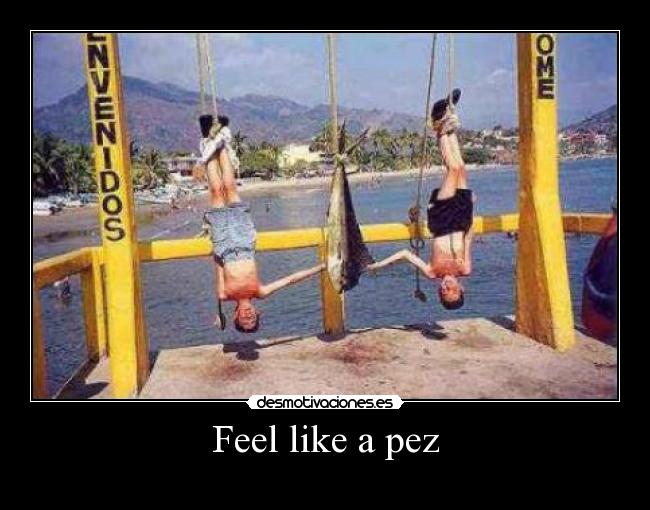 Feel like a pez -