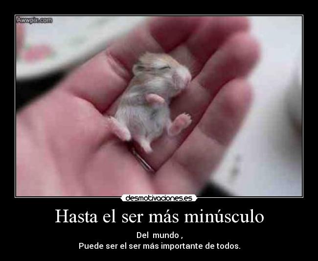 Hasta el ser más minúsculo - Del mundo ,
Puede ser el ser más importante de todos.